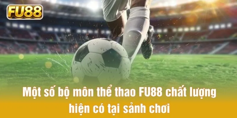 Một số bộ môn thể thao FU88 chất lượng hiện có tại sảnh chơi