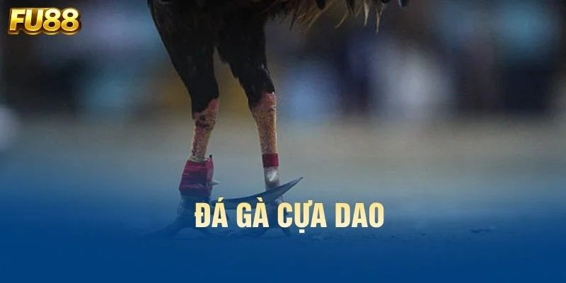da-ga-cua-dao