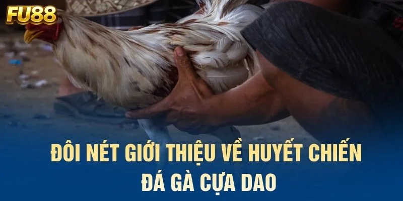 Đôi nét giới thiệu về huyết chiến đá gà cựa dao