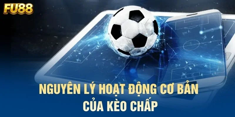 Nguyên lý hoạt động cơ bản của kèo chấp