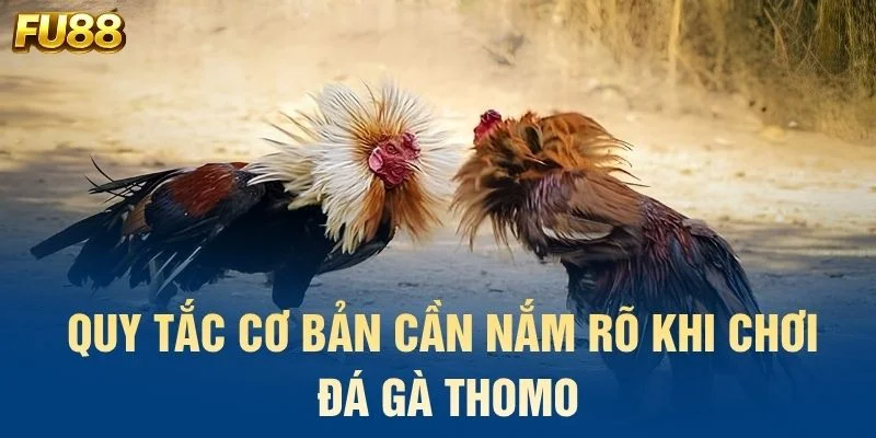 Giới thiệu nhanh về hình thức đá gà Thomo tại FU88