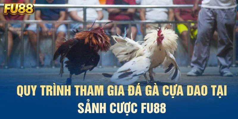 Quy trình tham gia đá gà cựa dao tại sảnh cược FU88