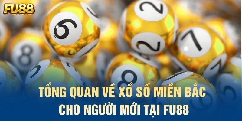 Tổng quan về xổ số miền Bắc cho người mới tại FU88